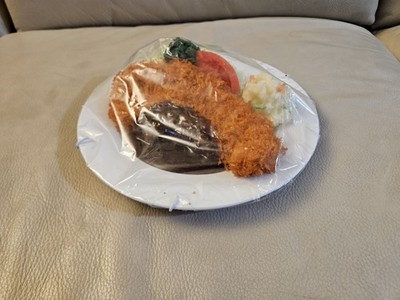 Japanese Model Food: Chicken Katsu Filet With Sides