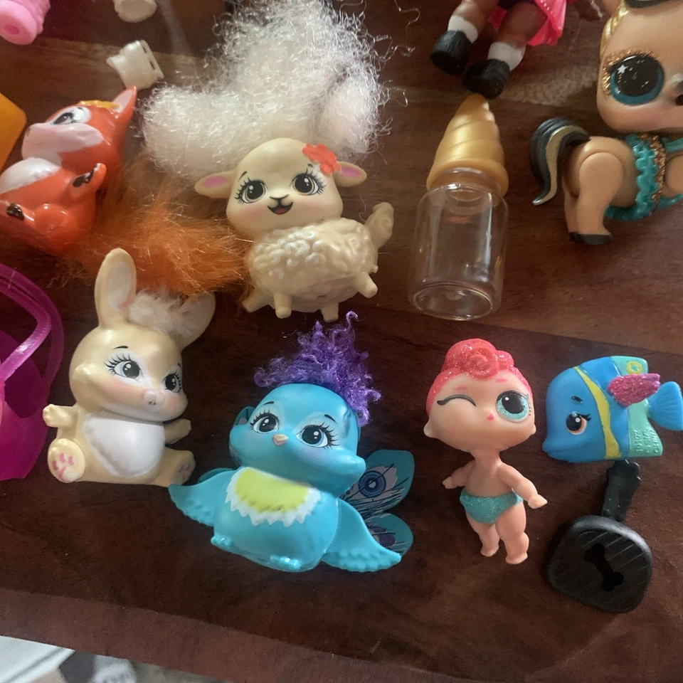 Lote de Enchantimals Lol Barbie Plus Más 25 Plus Foto 2 de 4