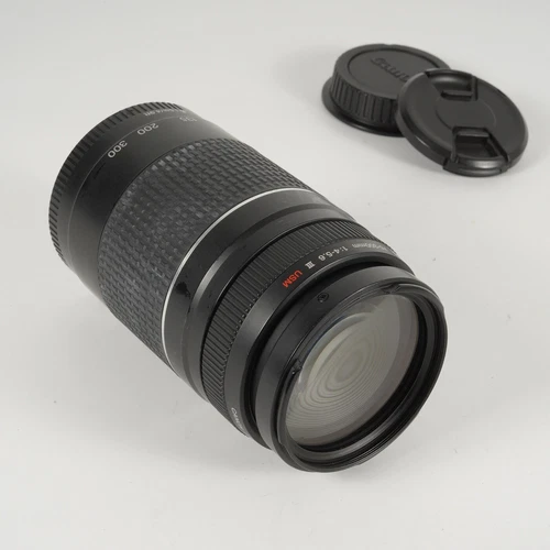 Canon EF 75-300mm f/4-5.6 III USM Lens