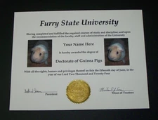 DOCTOR OF GUINEA PIGS DIPLOMA DEGREE
