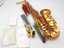 New Eb E-flat Alto Saxophone Sax Woodwind Instrument with Case mouthpieces