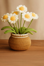 DIY Crochet Daisy Kit for Beginners Handmade Yarn Flower Bouquet with Pot