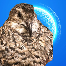 36 Sunset Mix Coturnix Quail Fertile Hatching Eggs, NPIP Certified Game Farm