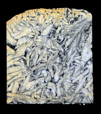 PINOLITE SLAB  UNPOLISHED Pinolith Lapidary Rough Rock Mineral Cabbing Black