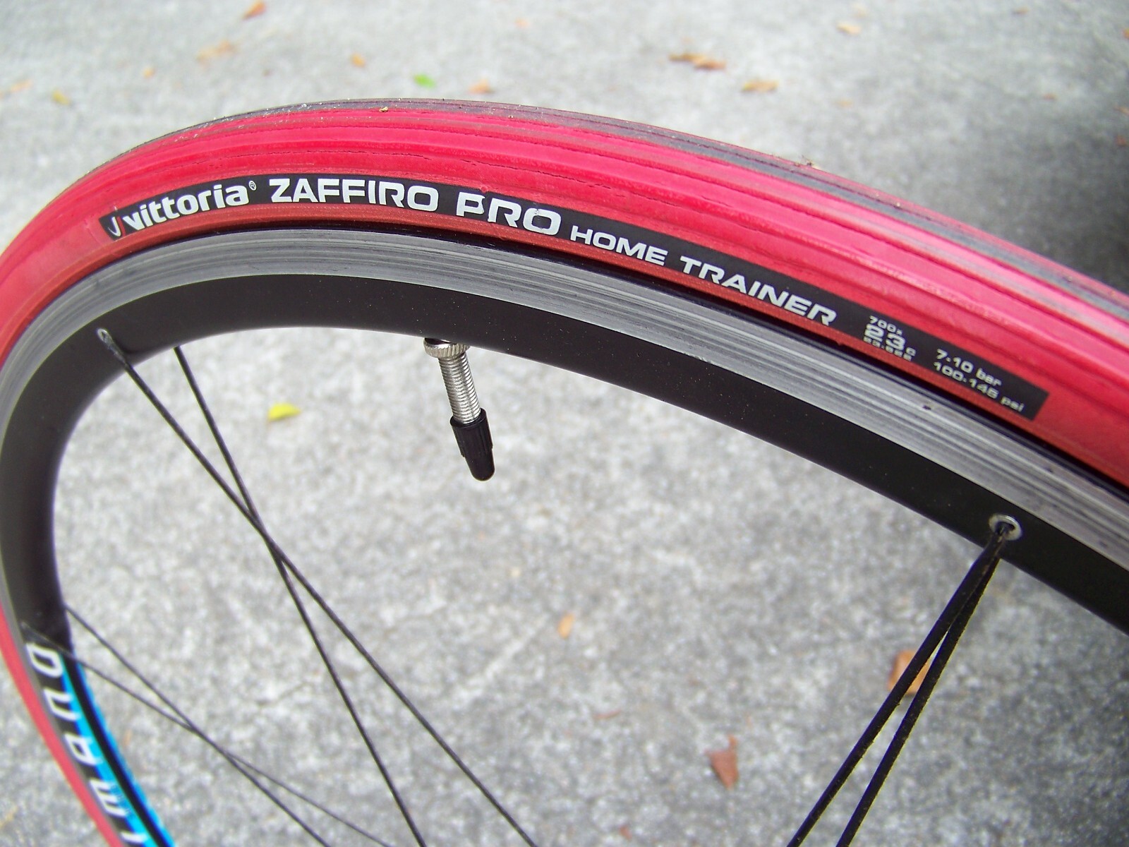 Vittoria Zaffiro Pro Indoor Home Trainer Bicycle Tire eBay