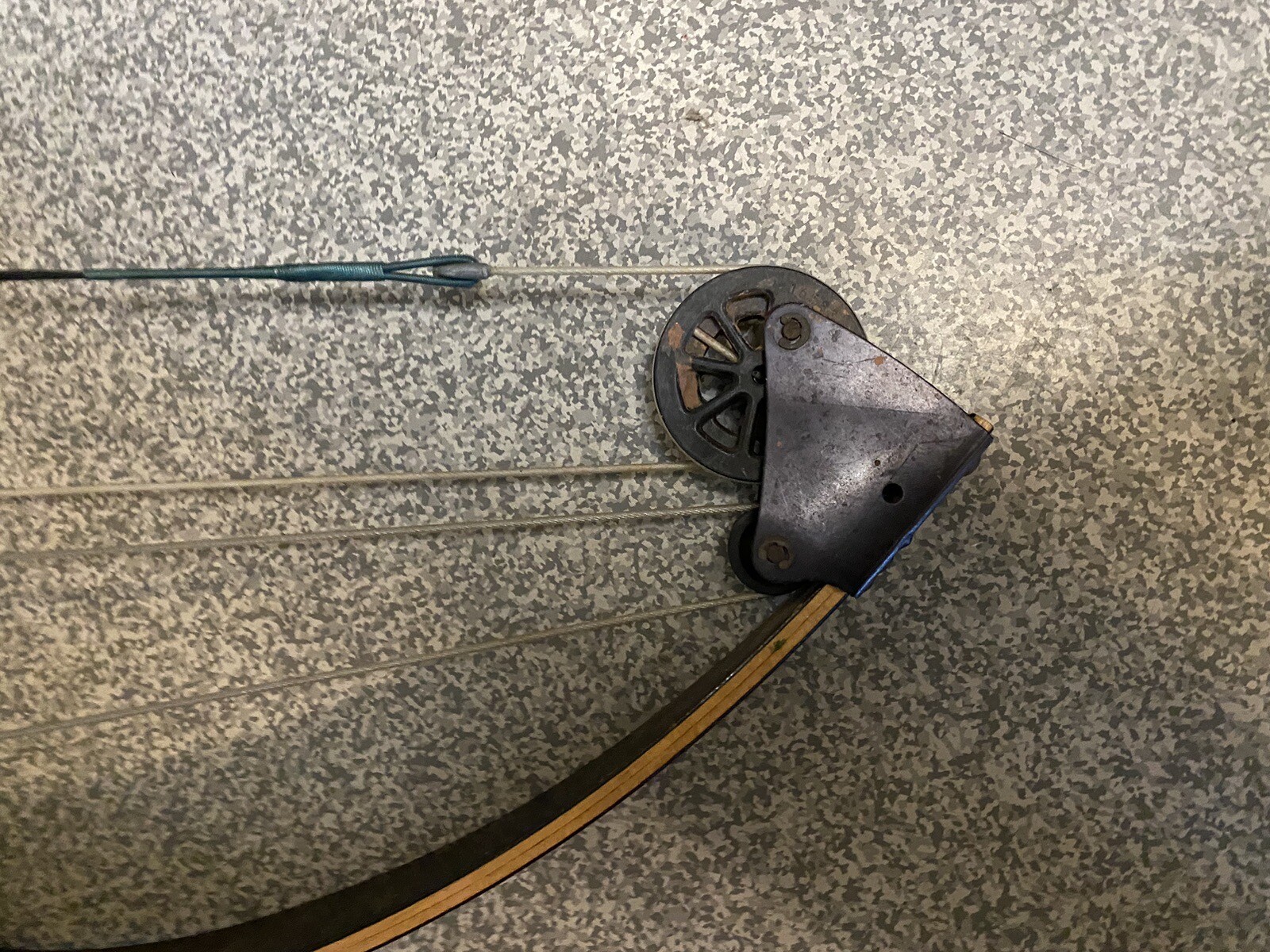 Vtg BEAR Archery Amo Compound Polar Ltd 39" String Length Bow eBay