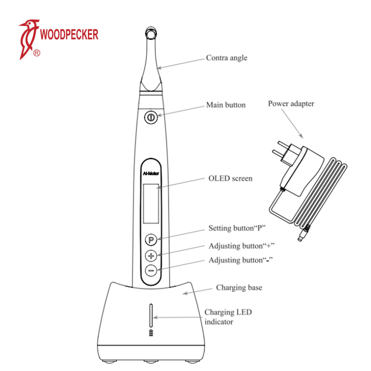 Woodpecker Ai-Motor Dental Endo Motor w/ Apex Locator Woodpecker Ai-Motor Dental Endo Motor w/ Apex Locator