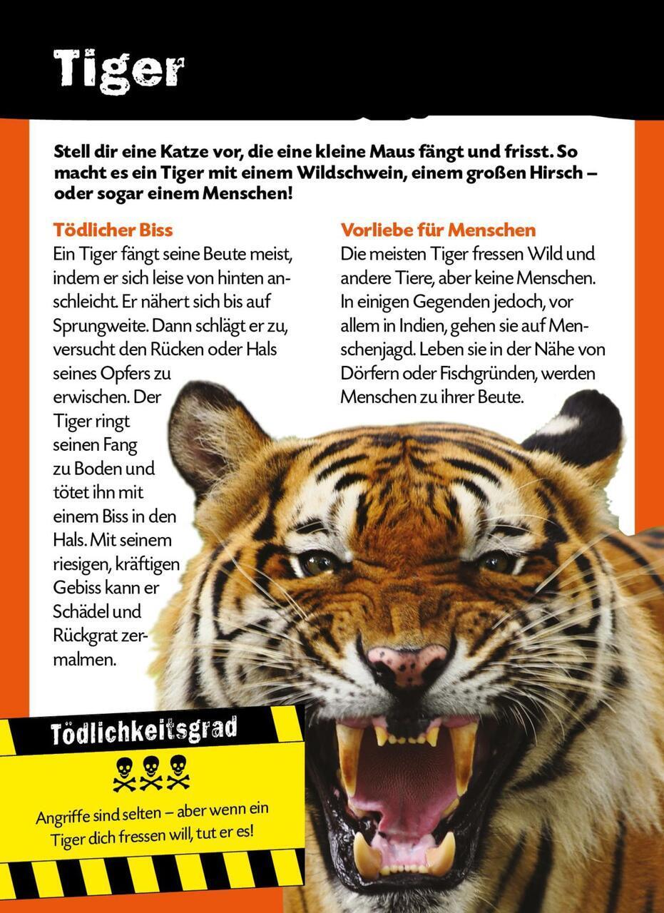 Thumbnail - Anna Claybourne Die 100 Tödlichsten Dinge Der Welt