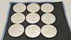 2017 American Silver Eagle 1 oz  .999 Fine Silver Coin Bulk Uncirculated