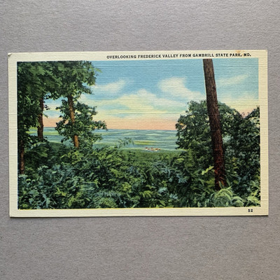 Frederick Valley Gambrill State Park Frederick Maryland MD Overlook Postcard