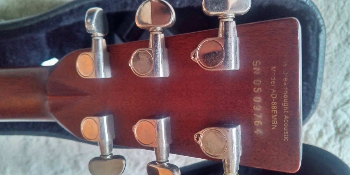 Acoustic Guitar Aria Dreadnought AD-88EMBN Natural S/N