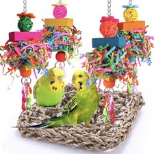 Parakeet Toys Bird Conure 6.7"" x with a 12"" chain, colorful