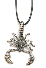 Unusual Scorpion Pendant with String Necklace