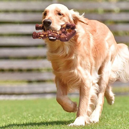 Dog Toys Extreme Tough Interactive Toy for Aggressive Chewers Indestructible Toy - Picture 9 of 15
