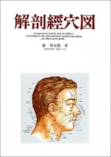 Anatomical Acupuncture Chart Japanese Book Meridian Points Illustrated Medical
