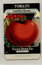 1920's LITHO CARD CO. POMEDORO TOMATO SEED PACKET