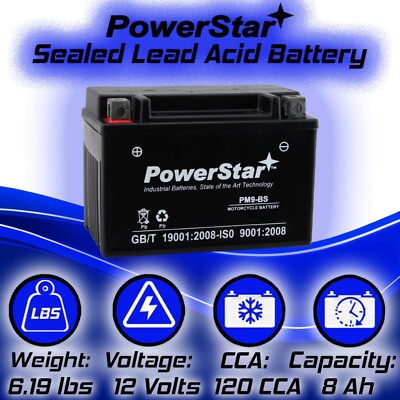 PowerStar YTX9-BS Battery for Kawasaki ZX636 Ninja ZX-6R ABS 30th