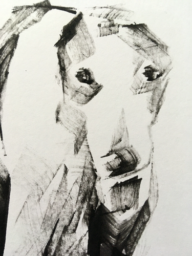 Original signed Ink Drawing Painting sketch of a Greyhound Lurcher A3 - Picture 6 of 6