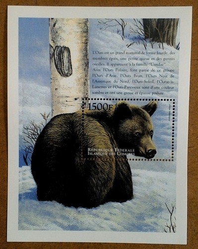 VINTAGE CLASSICS - Comoros 1999 - Asian Black Bear - Souvenir Sheet - MNH