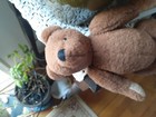 Bild 5 von 7