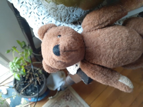 Antique Teddy Bear Little Honey Bears 8" Jointed - Picture 5 of 7