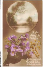 AVLP10-699-FESTE - Fiori Viola E Lac