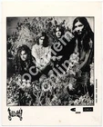 Jellyfish Promo Photo #2442