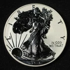 2013-W American Silver Eagle Reverse Proof - Free Shipping USA