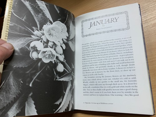RARE 1980 1ST EDITION "A GARDINER'S DOZEN" BBC HARDBACK BOOK (P4) - Picture 9 of 19