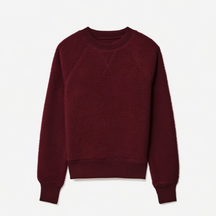 Everlane The ReNew Fleece Raglan Sweatshirt | eBay