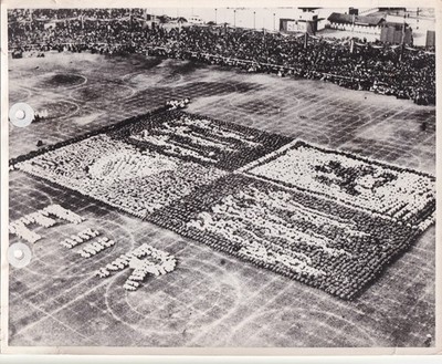 Original Pressefoto Queen Elizabeth II Besuch Wayside Cricket Oval Display 1954
