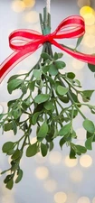 Single Cluster Of Ready To Hang Mistletoe Fresh Arkansas Picked. Christmas Decor
