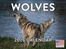 Wolf Calendar 2026 Wolves Monthly Wall Calender 12 Month