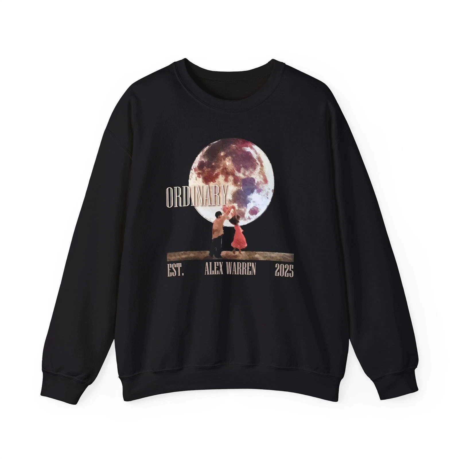 Ordinary Sweatshirt, Music Lover Gift
Opens in a new window or tab