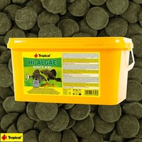 Tropical Hi-Algae Discs Xxl 5L Welse Garnelen Spirulina