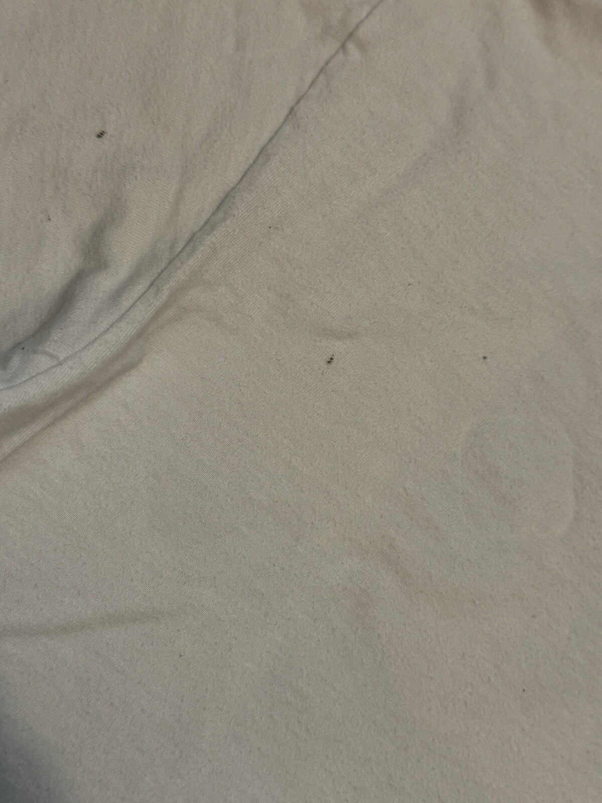 Picture 6 of 6