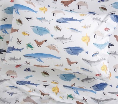 Pottery Barn Kids Save Our Seas Cotton Sheet Set (US STOCK)