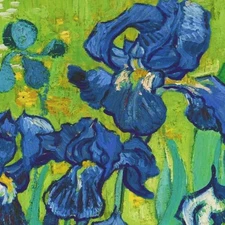 Orenco Originals Vincent Van Gogh Iris Flowers Counted Cross Stitch Pattern