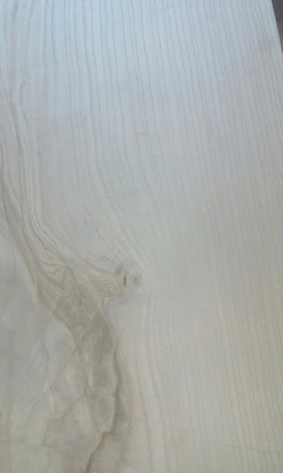 Ash Body B - Ware Bodyblank E Bass E Gitarre 3 Stueck