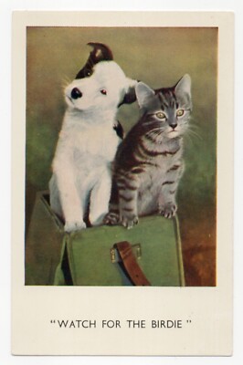 ''Watch for the Birdie'' Terrier Hund Tabby Katze. HPC. 214. E.T.W. Dennis PPC 