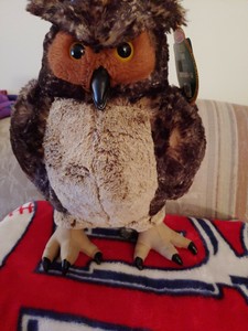 melissa and doug owl