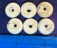 (6) BIG Original Cherokee Indian Conch Shell Trade Beads Artifacts Pre 1600's