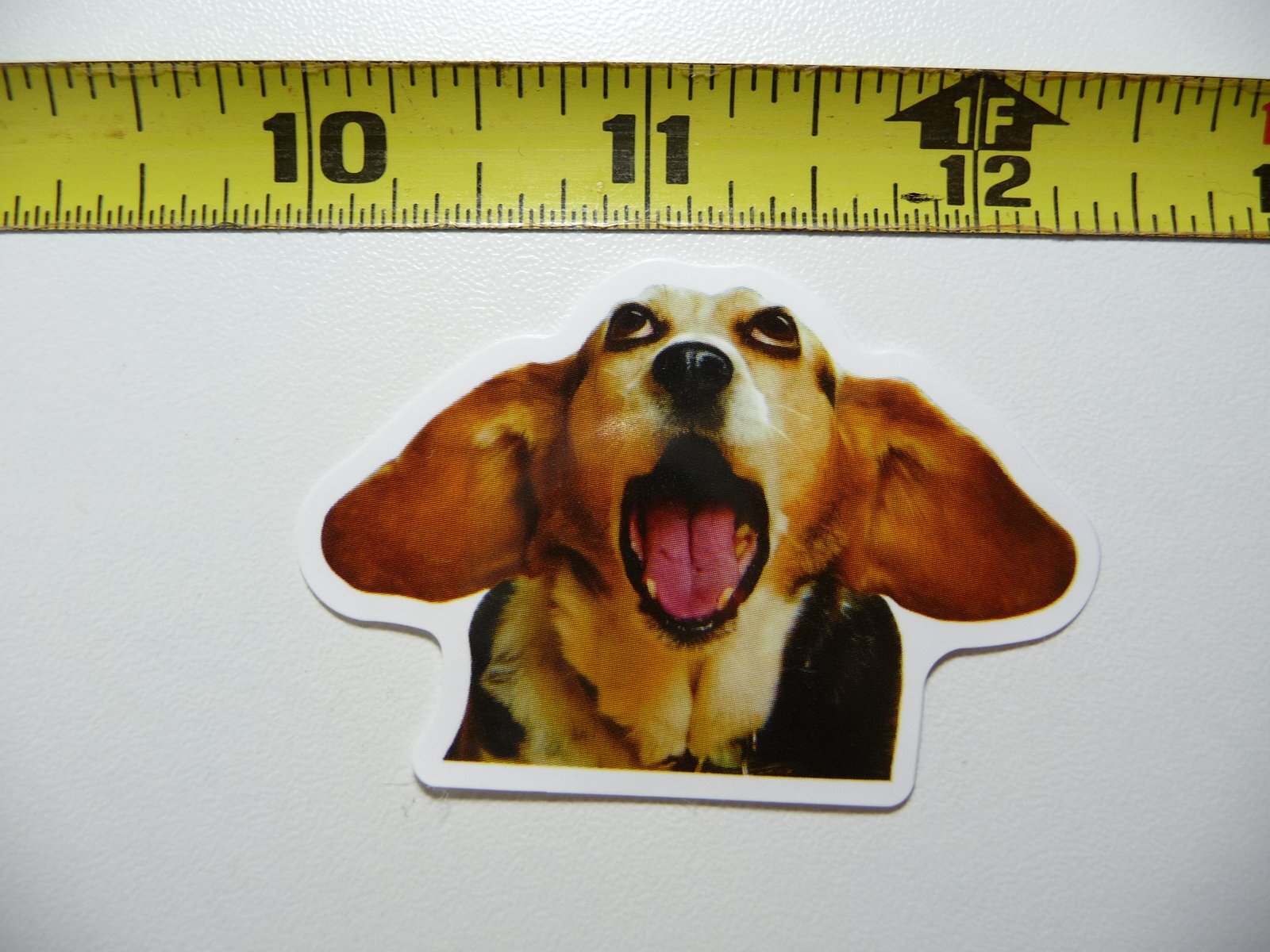 OMG OH MY GOD FUNNY DOG DECAL STICKER PET PLAY FURBALL