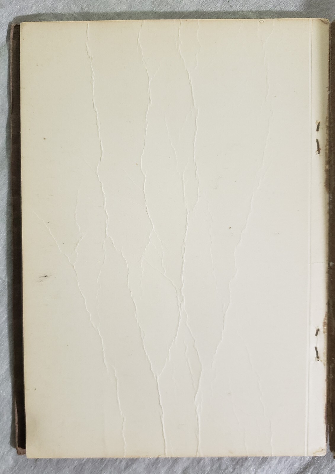 Foto 21 di 24