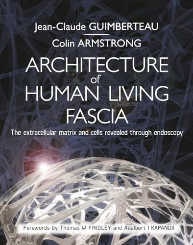 Architecture of Human Living Fascia: The Extracellular Matrix and Cells Reveale - Image 5