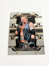 Diamond Dallas Page 2024 Panini Select WWE Concourse Base Card # 89