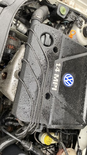 ZYLINDERKOPF Volkswagen Polo III (6N2) Hatchback 1.4 (AKK)