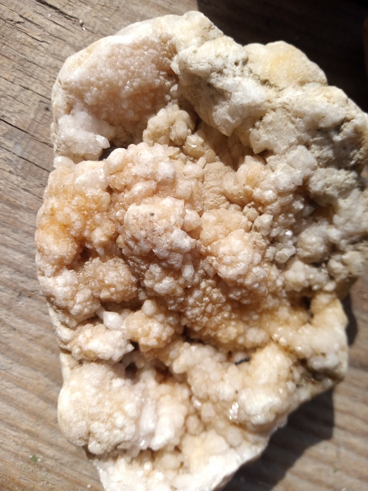 Picture 2 of 4