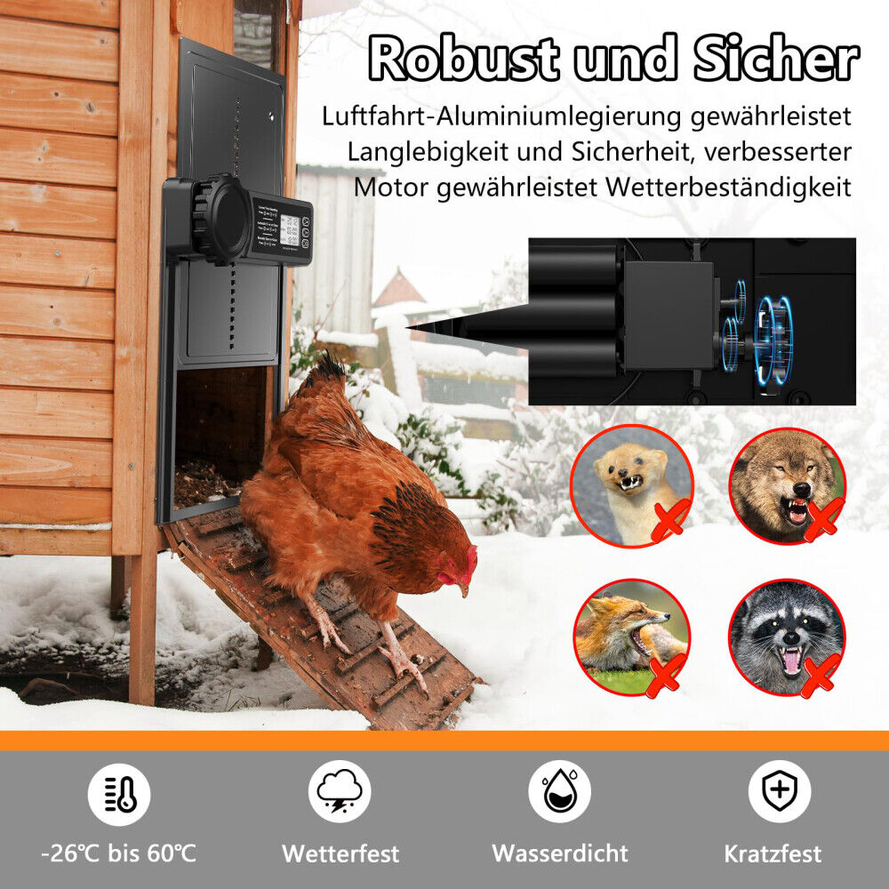 Bild 11 von 12
