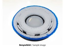 Shampoo Brush IPC-Gansow CT 60 B 55, CT 60 C 55, CT 60 BT 55 - Poly 0.3